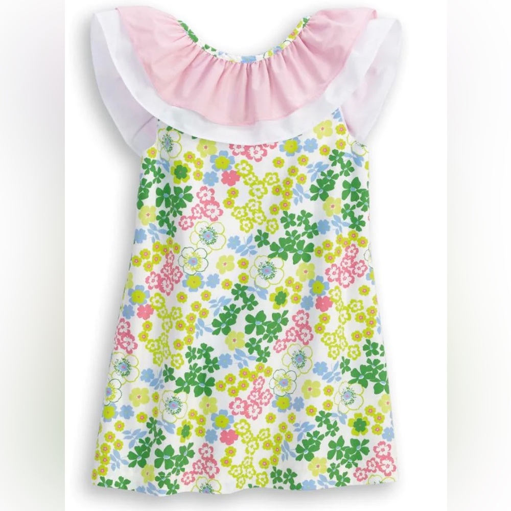 Bella Bliss NWT Lucia Floral Lexi Dress size 7